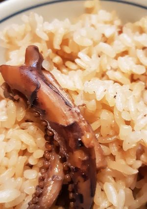 なんちゃってイカ飯-レシピのメイン写真