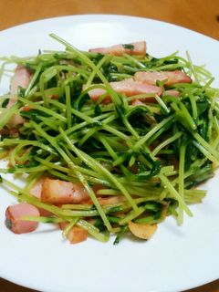 豆苗とベーコンのガーリック炒め-レシピのメイン写真