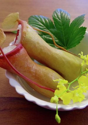 ウツボカズラ飯-レシピのメイン写真