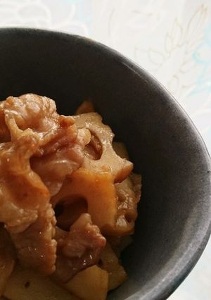 蓮根金平にはお肉が合うらしい♪-レシピのメイン写真