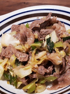 牛肉とキャベツと長ネギのみそダレ炒め-レシピのメイン写真