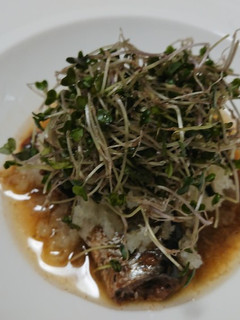 鰯缶で簡単☆スプラウト盛り-レシピのメイン写真