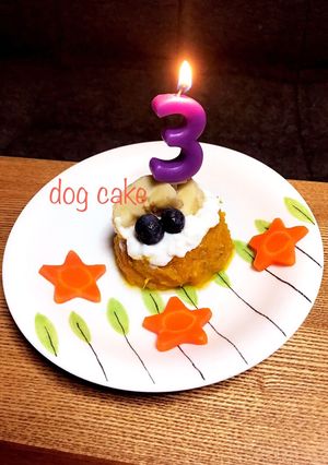犬用ケーキ✩.*˚ 愛犬喜ぶ手作りケーキ-レシピのメイン写真