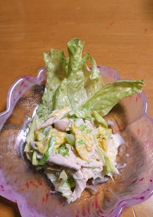 ささみとキャベツのサラダ-レシピのメイン写真