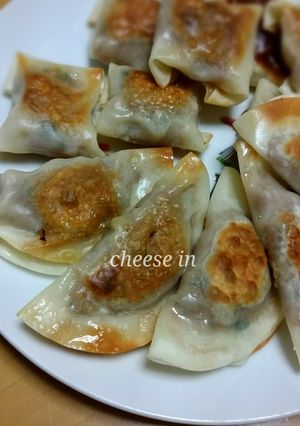 低糖質なチーズ入り餃子-レシピのメイン写真