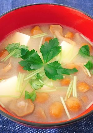 本だしで簡単！基本の豆腐となめこの味噌汁-レシピのメイン写真