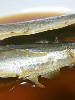 【初心者向け】めんつゆで、基本の煮魚-レシピのメイン写真