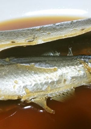 【初心者向け】めんつゆで、基本の煮魚-レシピのメイン写真