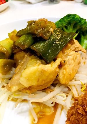 低糖質！鶏胸肉と長ネギの黒酢炒め-レシピのメイン写真