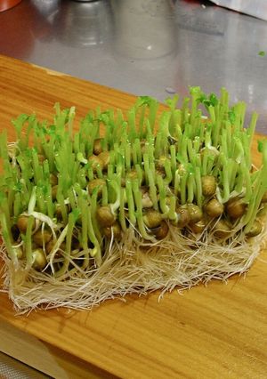 食感を楽しむ♫　豆苗のミモザサラダ風-レシピのメイン写真