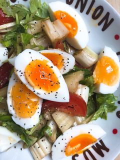 栄養満点★たっぷり野菜のゆで卵マリネ-レシピのメイン写真