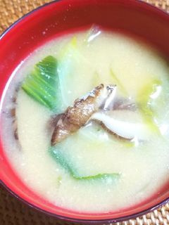 チンゲン菜と椎茸の味噌汁-レシピのメイン写真