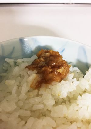 肉なし肉味噌（ネギ味噌）-レシピのメイン写真