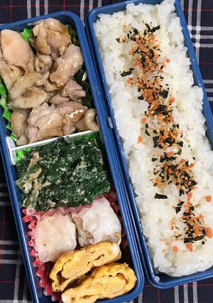 20190201マイ弁当-レシピのメイン写真