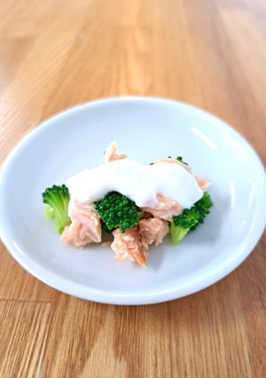 【離乳食】鮭と野菜のヨーグルトかけ-レシピのメイン写真