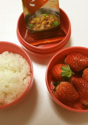 97、「下町ロケット殿村家」の米弁当♡-レシピのメイン写真