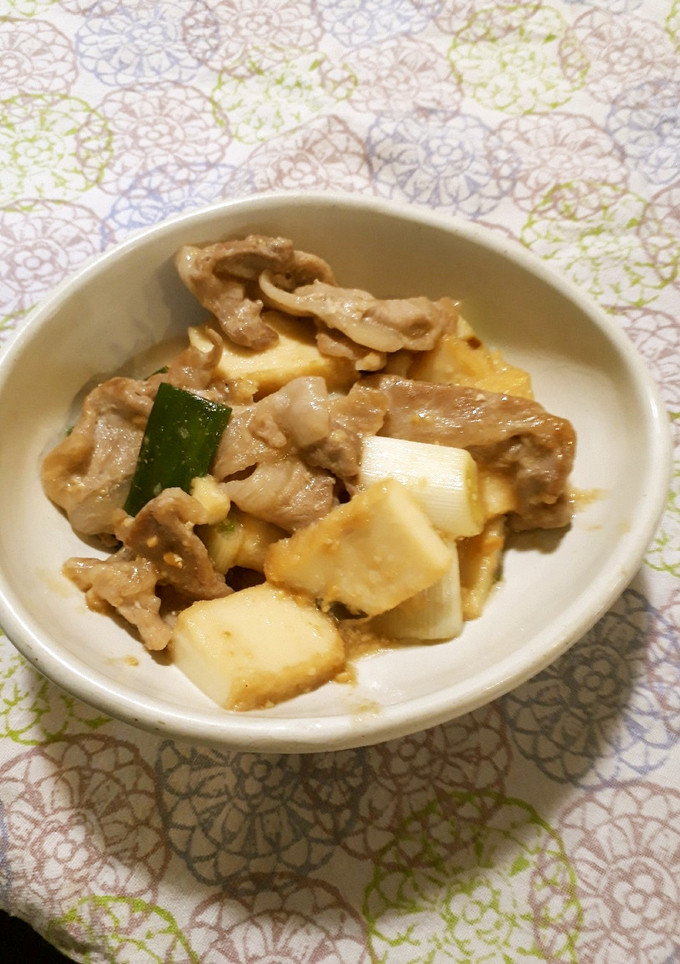 長ねぎと豚肉と厚揚げの味噌炒め-レシピのメイン写真