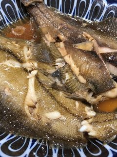 赤カレイの煮付け-レシピのメイン写真