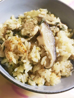味噌ラーメン+餃子!?な炊き込みごはん-レシピのメイン写真