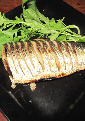 コノシロの塩焼き-レシピのメイン写真