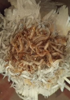 大根のせちりめんじゃこご飯-レシピのメイン写真