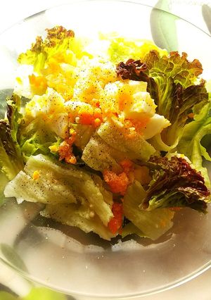 レタスと半熟卵のシーザーサラダ風-レシピのメイン写真