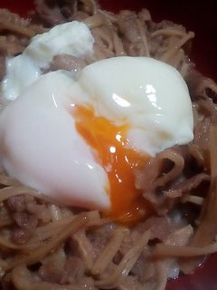 牛ごぼう丼-レシピのメイン写真