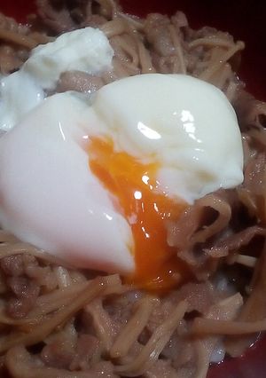 牛ごぼう丼-レシピのメイン写真