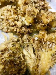 ♡舞茸の天ぷらはポン酢と塩胡椒が旨い♡-レシピのメイン写真