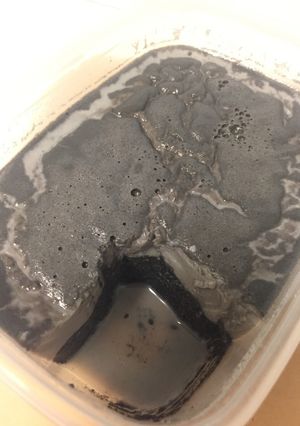 黒ごまミルク寒天-レシピのメイン写真
