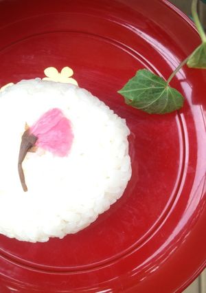 洗い物なしポリ袋で湯煎『さくらご飯』-レシピのメイン写真