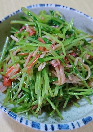 簡単☆豆苗の中華風サラダ-レシピのメイン写真