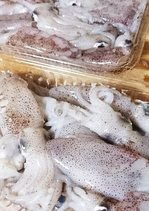包丁いらず! ヒイカの捌き方-レシピのメイン写真