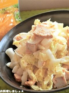 簡単★サラダチキンと白菜の和え物-レシピのメイン写真