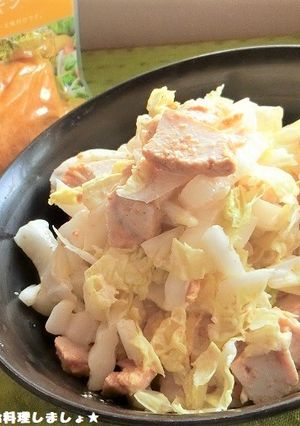 簡単★サラダチキンと白菜の和え物-レシピのメイン写真