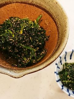 茅乃舎だしでほうれん草のごま和え-レシピのメイン写真