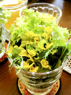 菜の花*の花のサラダ-レシピのメイン写真