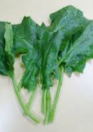 野菜の食べ方-レシピのメイン写真