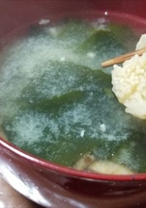 ヤマブシタケとゴボウ、ワカメの味噌汁＾＾-レシピのメイン写真