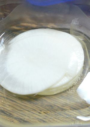酢漬け大根-レシピのメイン写真