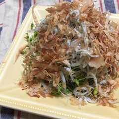 รูปของ スプラウトとシラスの鰹節サラダ