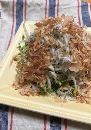 スプラウトとシラスの鰹節サラダ-レシピのメイン写真