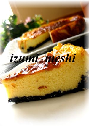ミキサーでヨーグルトチーズケーキ-レシピのメイン写真
