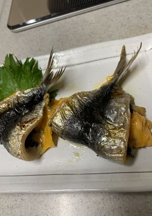 オーブントースターで鰯チーズ焼-レシピのメイン写真
