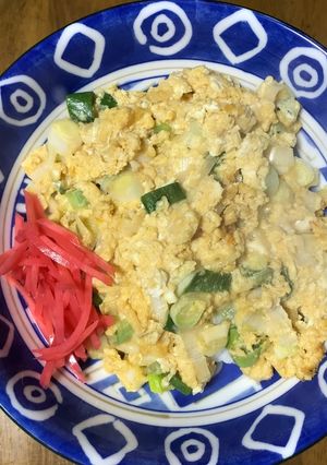 たっぷりネギの卵かけご飯-レシピのメイン写真