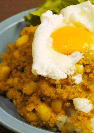レンジで簡単★ヨーグルトトマトカレー-レシピのメイン写真