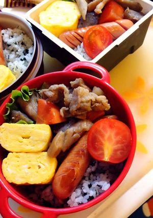 のっけ弁-レシピのメイン写真