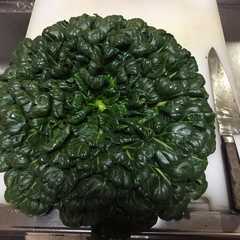 タアサイの油炒め-レシピのメイン写真