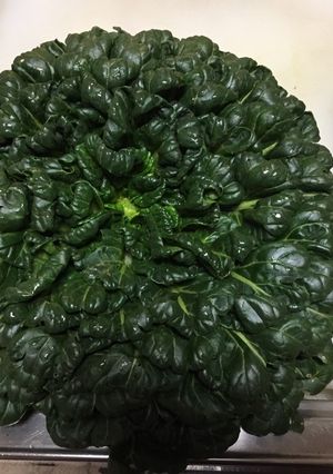 タアサイの油炒め-レシピのメイン写真