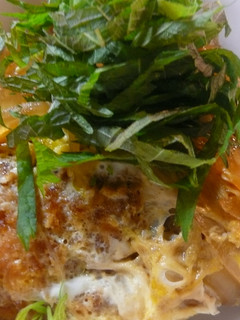 ヘルシーチキンカツ丼-レシピのメイン写真